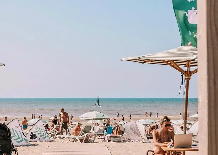 Yucca Beachhouse Zandvoort