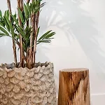 Yucca Beachhouse *