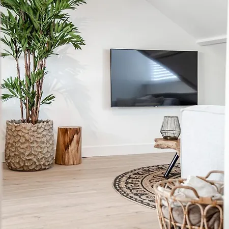 Yucca Beachhouse Apartment Zandvoort