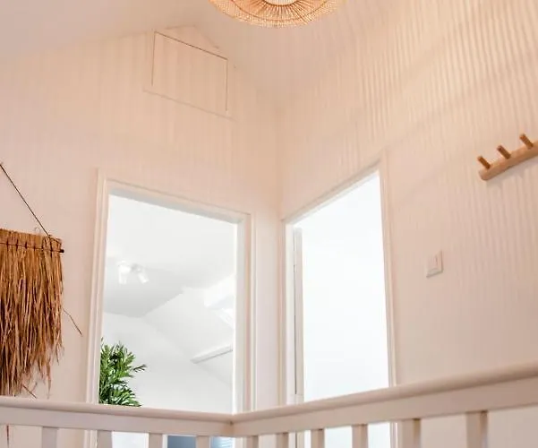 아파트 Yucca Beachhouse 잔드보르트